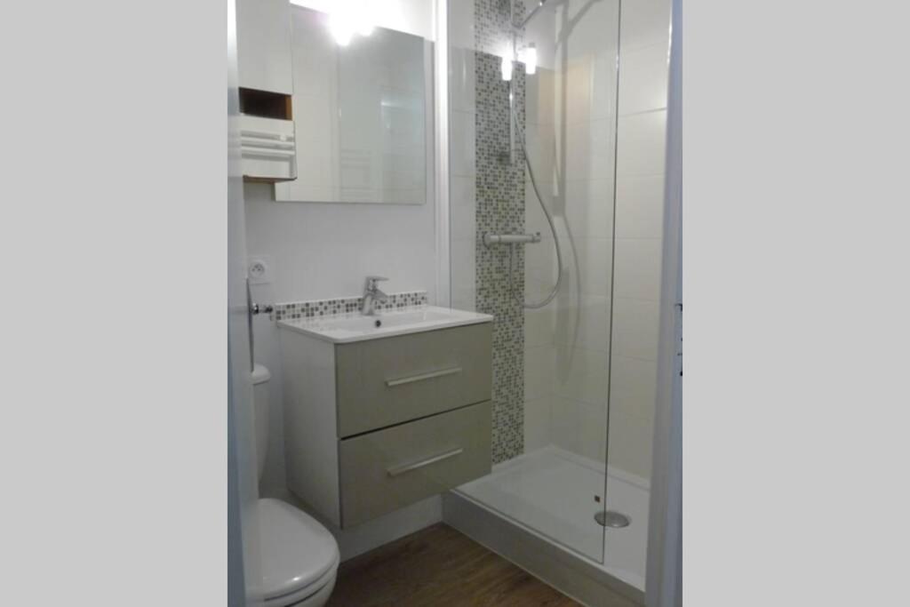 Appart Montagne 3 Etoiles Saint-Lary Station סן-לארי-סולאן מראה חיצוני תמונה