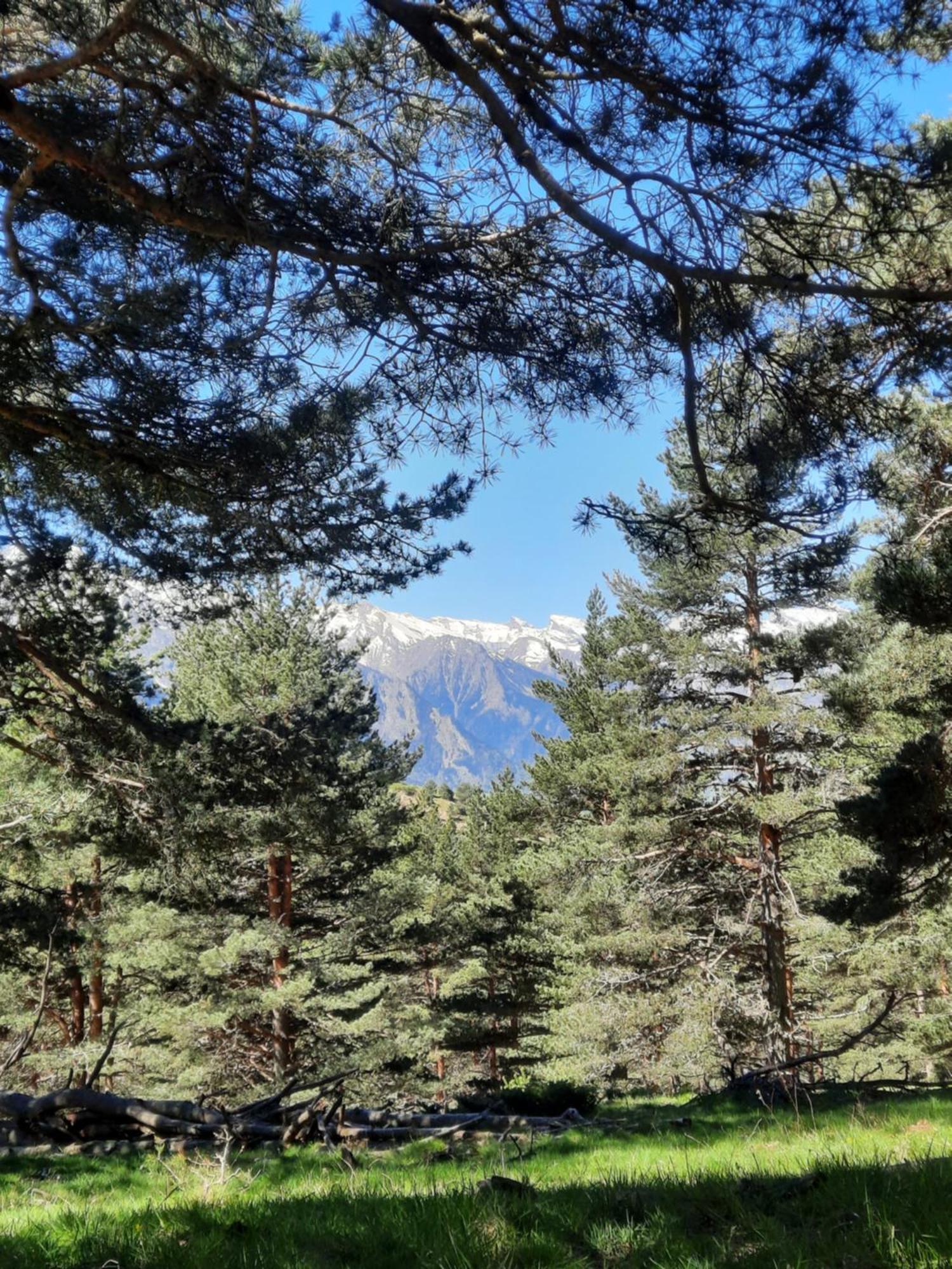 Appart Montagne 3 Etoiles Saint-Lary Station סן-לארי-סולאן מראה חיצוני תמונה